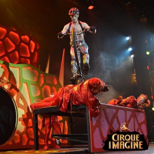 table cirque imagine 2016